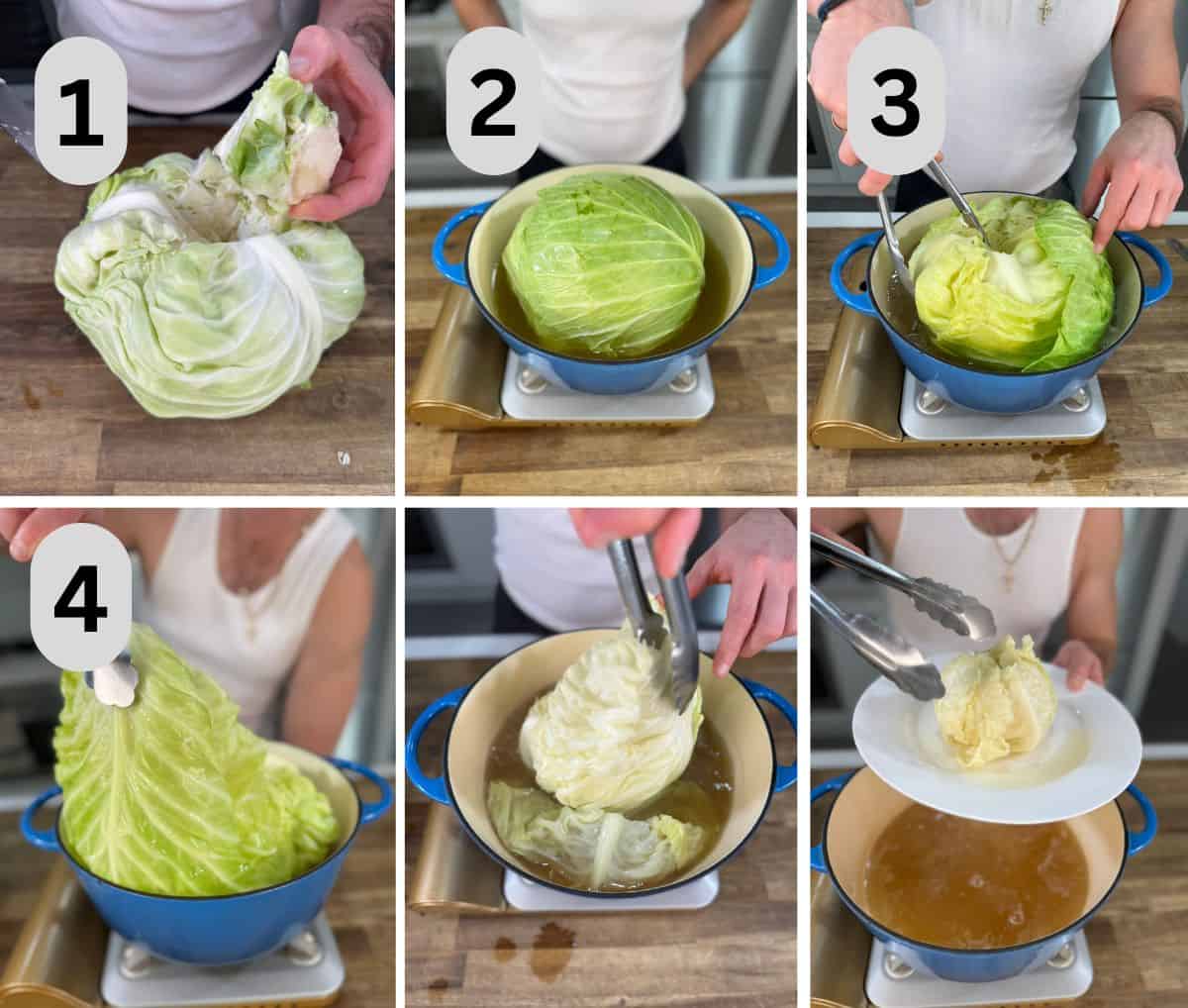 steps to prepare the cabbage